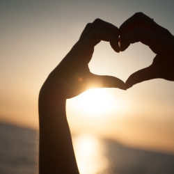 backlit-beach-blur-587835